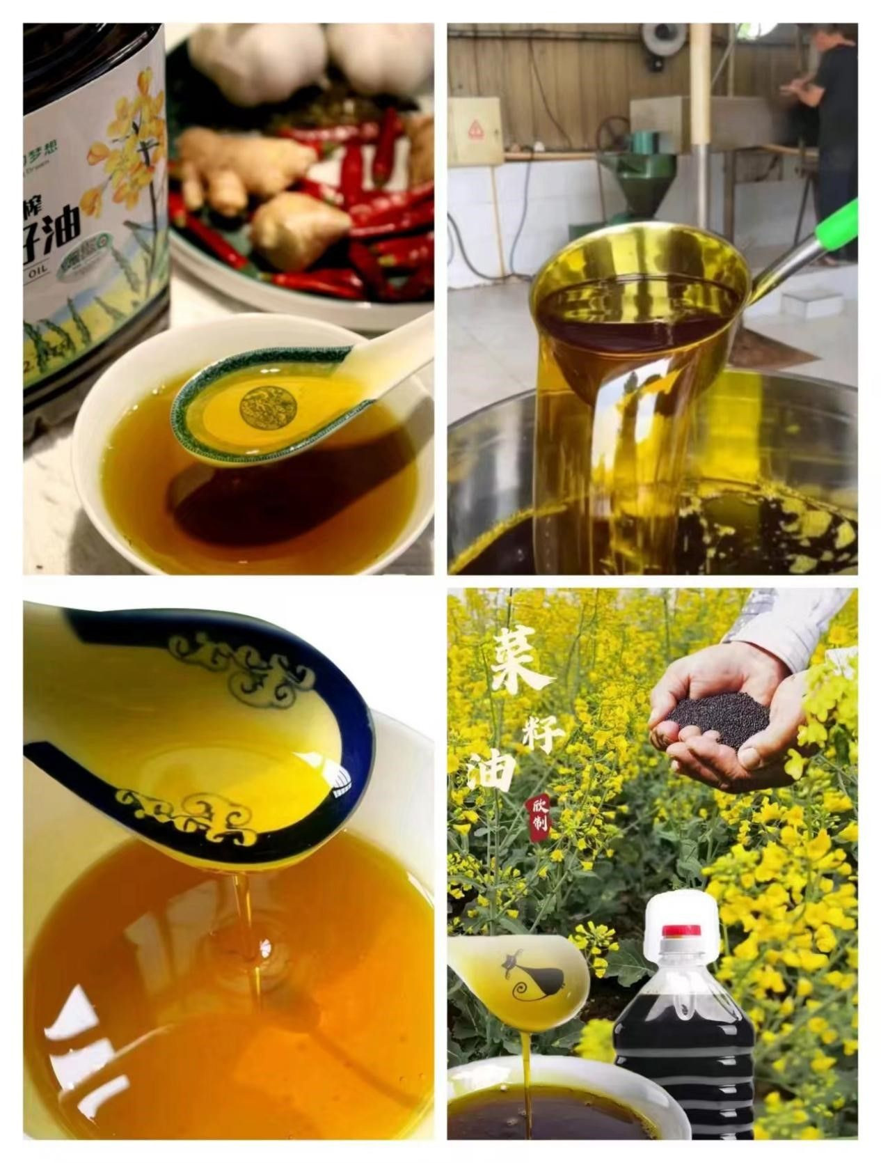 Natural Hand-Pressed Rapeseed Oil