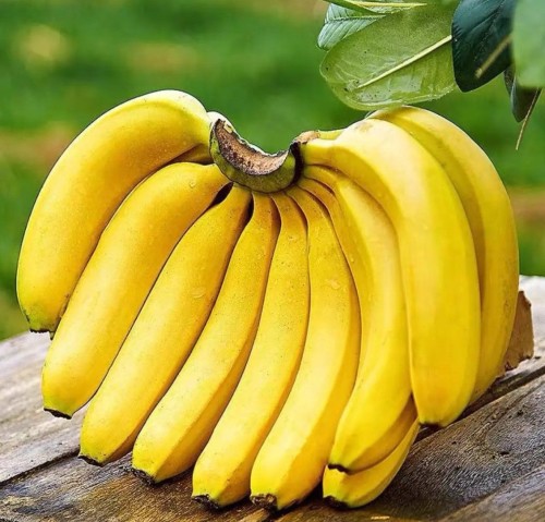 High Quality Bananas